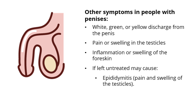 Gonorrhea Symptoms In People with Penises